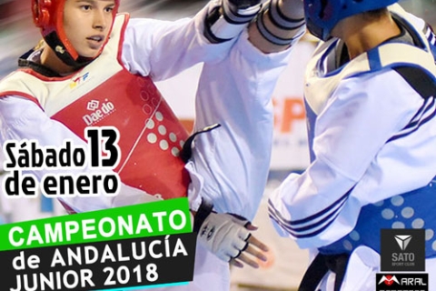 Campeonato-Taekwondo-Junior-13-01-18-vOKweb