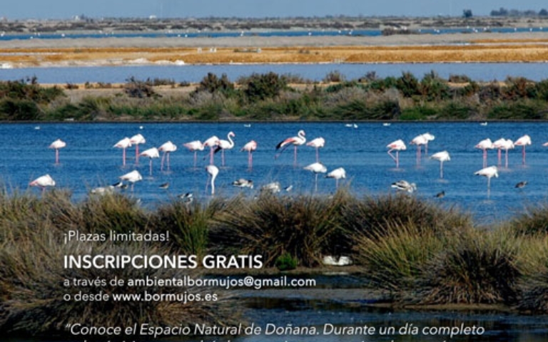 DIA-DE-LOS-PARQUES-MEDIO-AMBIENTEweb (2)