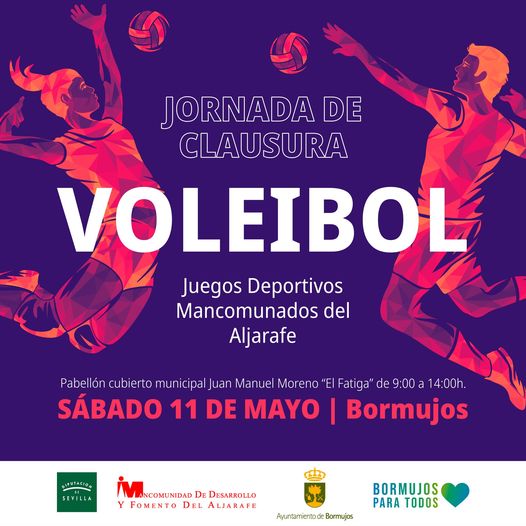 voleibol