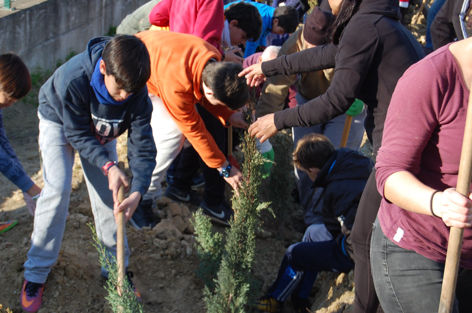 27913113_735292610001394_6437213585777642255_o