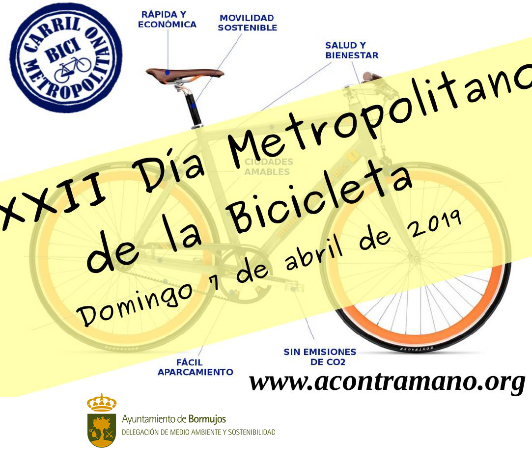 DIA BICI (1)