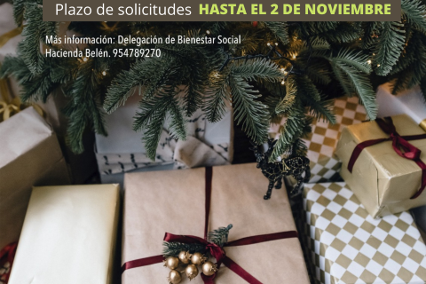 PLAZO DE SOLICITUDES