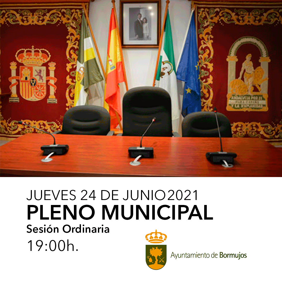 PLENO-JUNIO