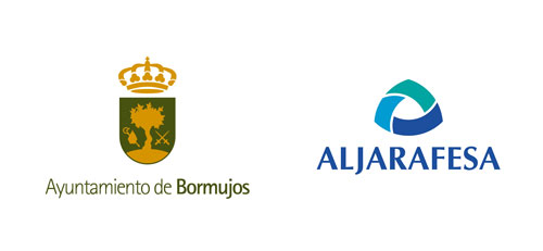 ayuntamiento-y-aljarafesaweb