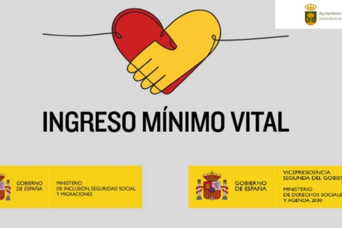 minimo vital